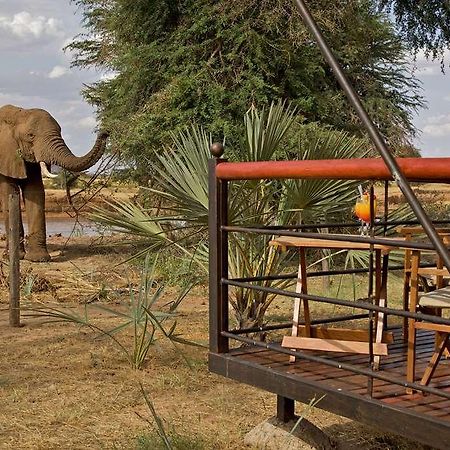 Ashnil Samburu Camp Hotel Exterior foto